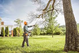 Best Hazardous Tree Removal  in La Conner, WA